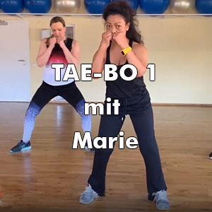 Read more about the article TAE-BO 1