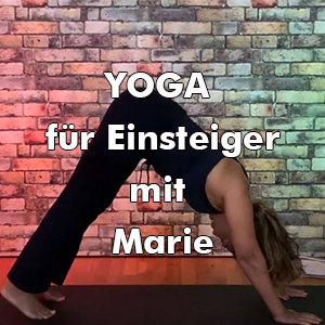 Read more about the article Yoga für Einsteiger
